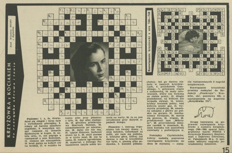 Krzyżówka z kociakiem