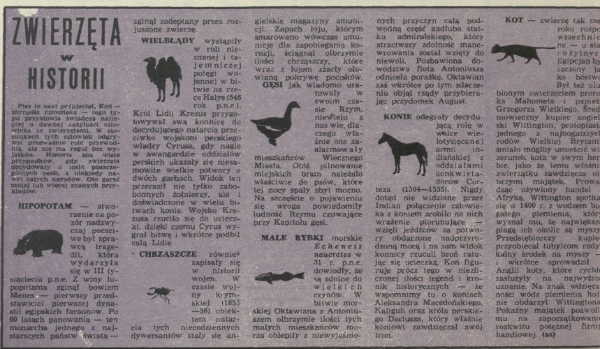 Zwierzęta w historii