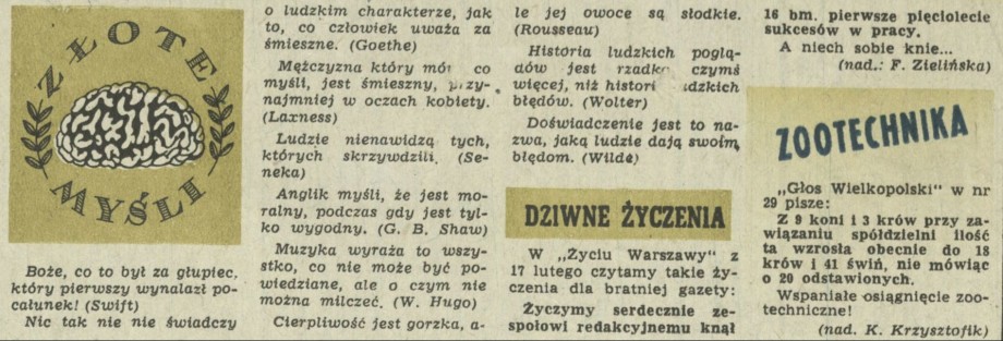 Złote myśli