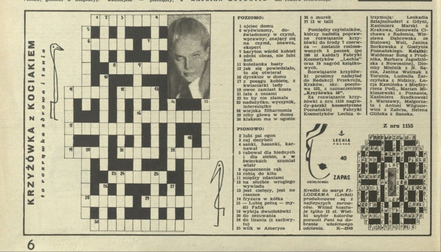 Krzyżówka z kociakiem