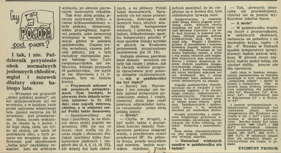 Czy pogoda pod psem?