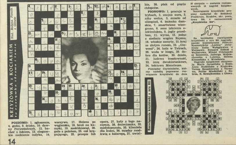 Krzyżówka z kociakiem