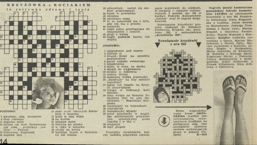 Krzyżówka z kociakiem