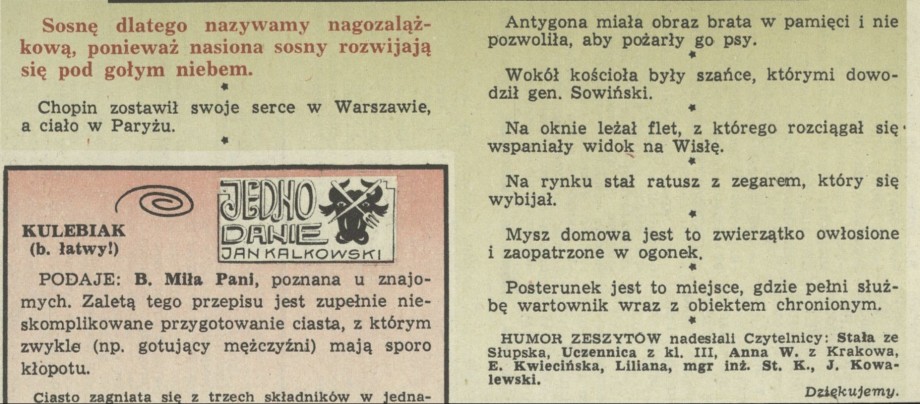 Humor zeszytów