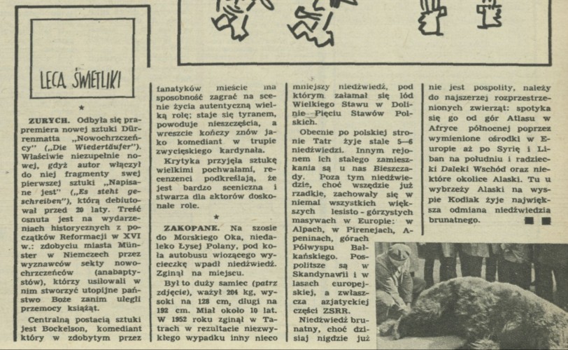 Lecą świetliki lecą, lecą...