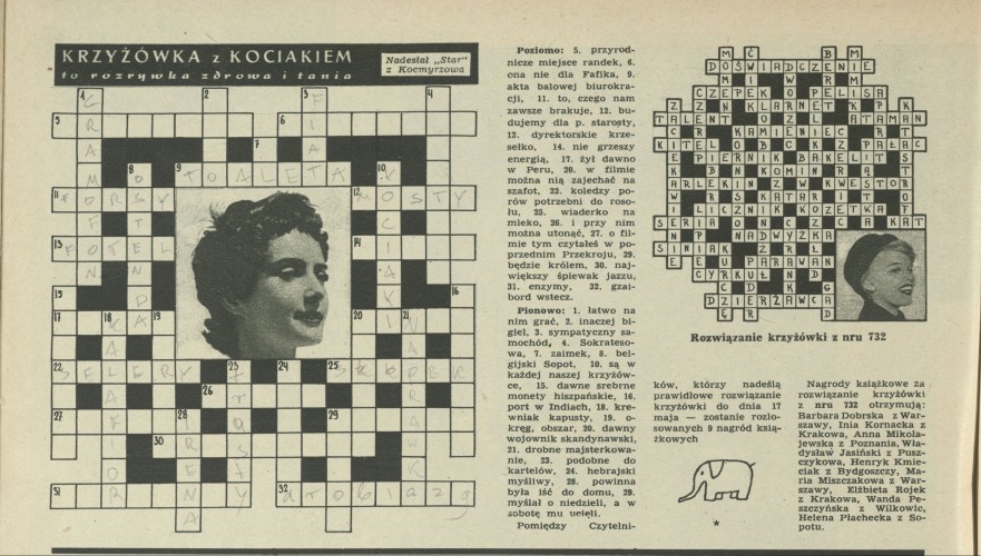 Krzyżówka z kociakiem