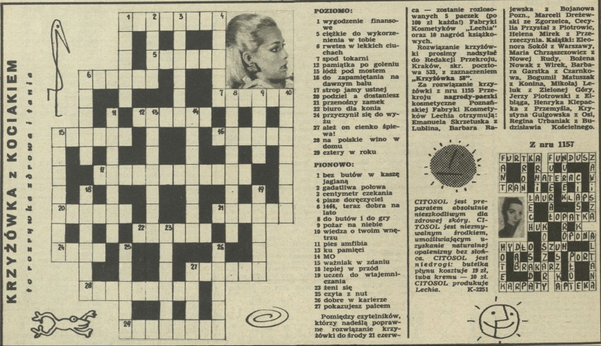 Krzyżówka z kociakiem