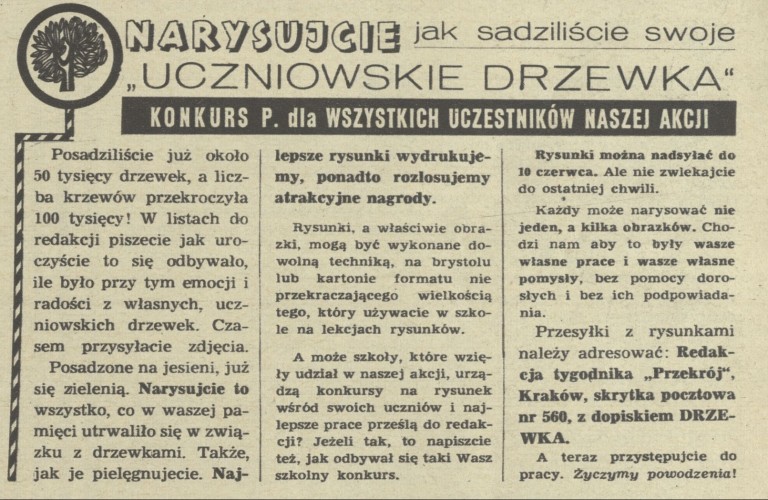Narysujcie jak sadziliście swoje uczniowskie drzewka