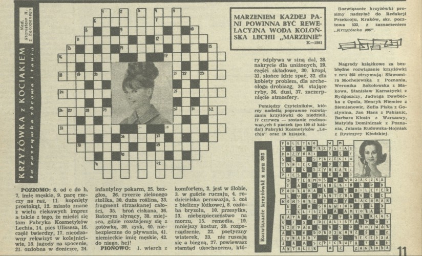 Krzyżówka z kociakiem