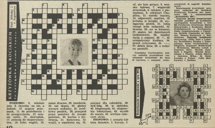 Krzyżówka z kociakiem