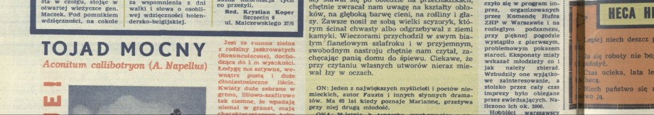 Demokratyczny savoir-vivre