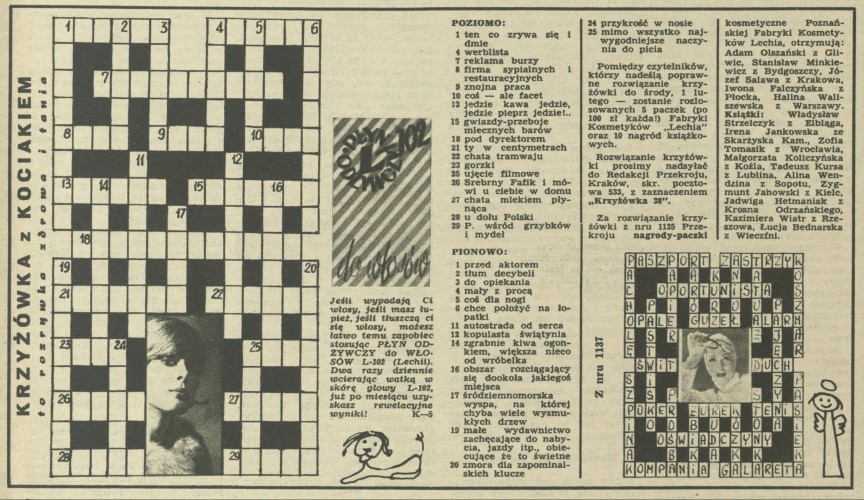 Krzyżówka z kociakiem