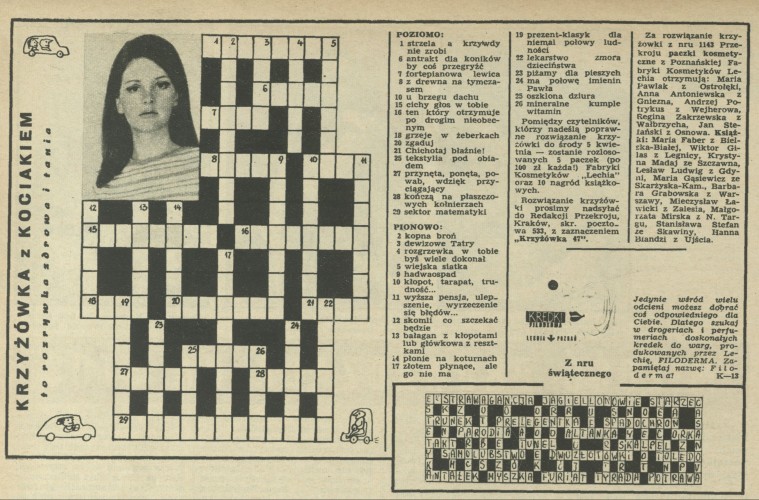 Krzyżówka z kociakiem