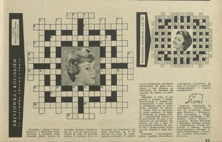 Krzyżówka z kociakiem