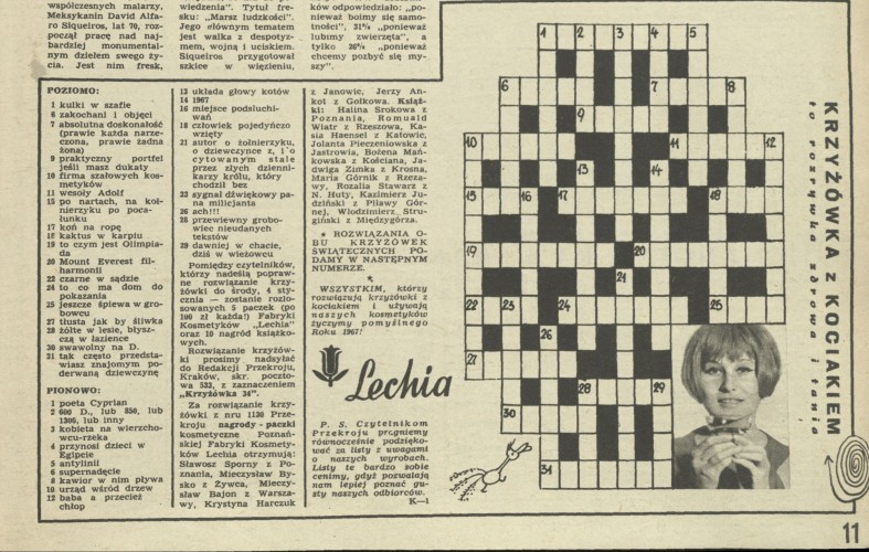 Krzyżówka z kociakiem