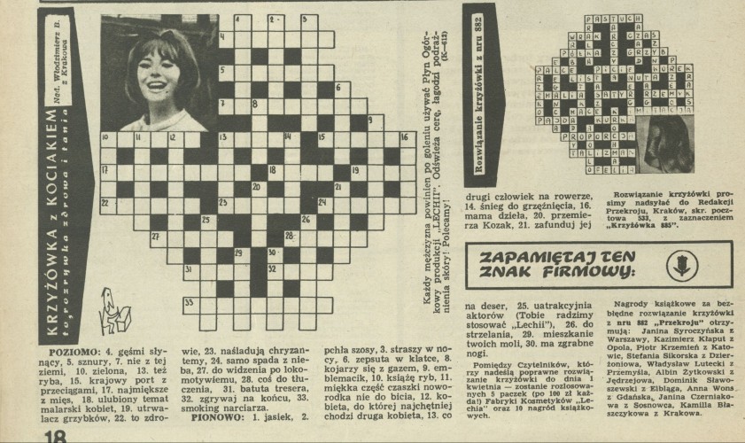 Krzyżówka z kociakiem