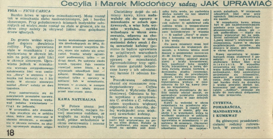 Cecylia i Marek Miodońscy radzą; Jak uprawiać