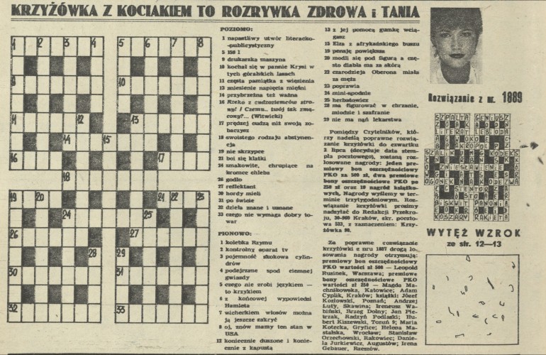 Krzyżówka z kociakiem