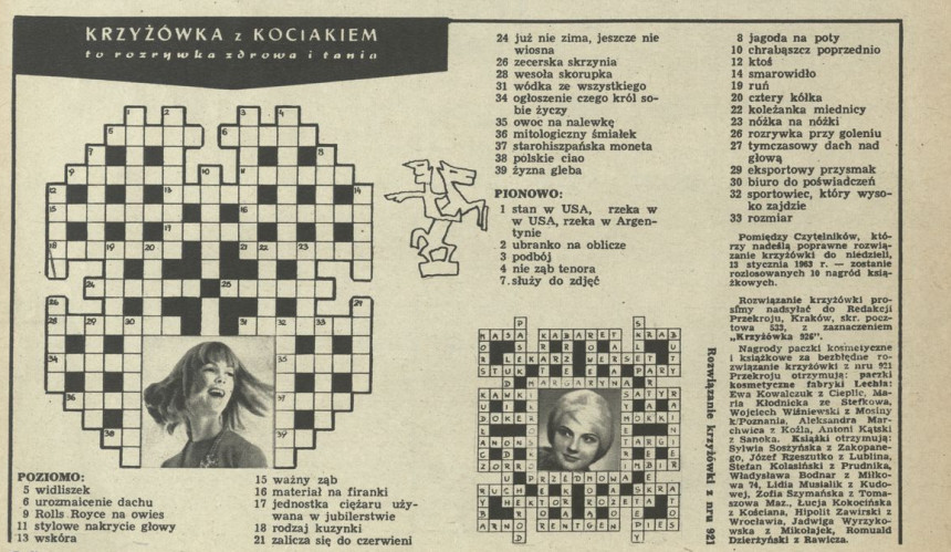 Krzyżówka z kociakiem
