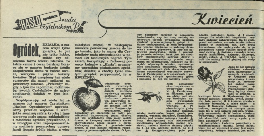 Kwiecień w ogródku