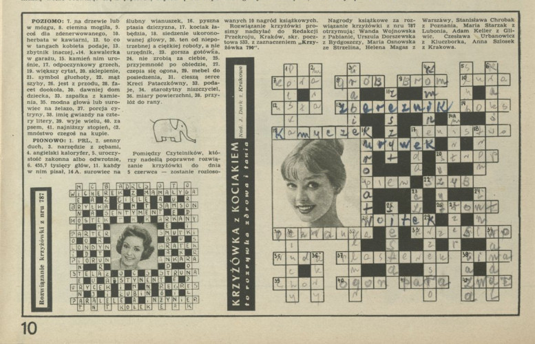 Krzyżówka z kociakiem