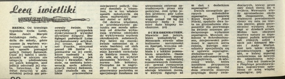 Lecą, lecą świetliki