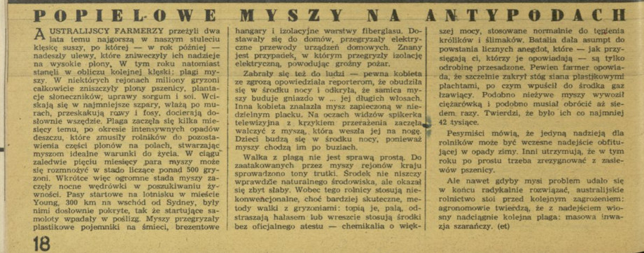 Popielowe myszy na antypodach