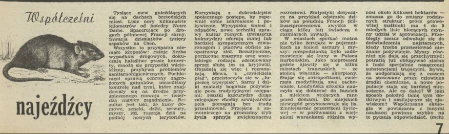 Współcześni najeżdźcy