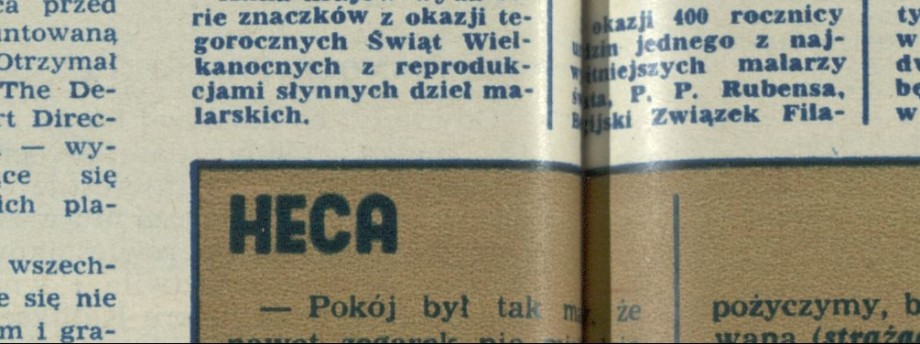 Wierna słonica Sandra