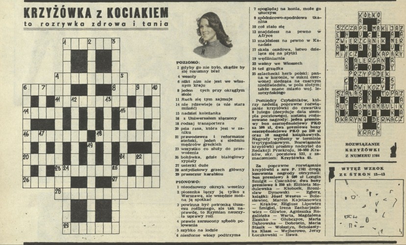 Krzyżówka z kociakiem