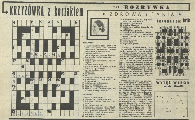 Krzyżówka z kociakiem