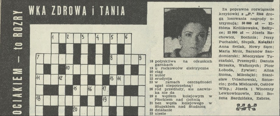 Krzyżówka z kociakiem