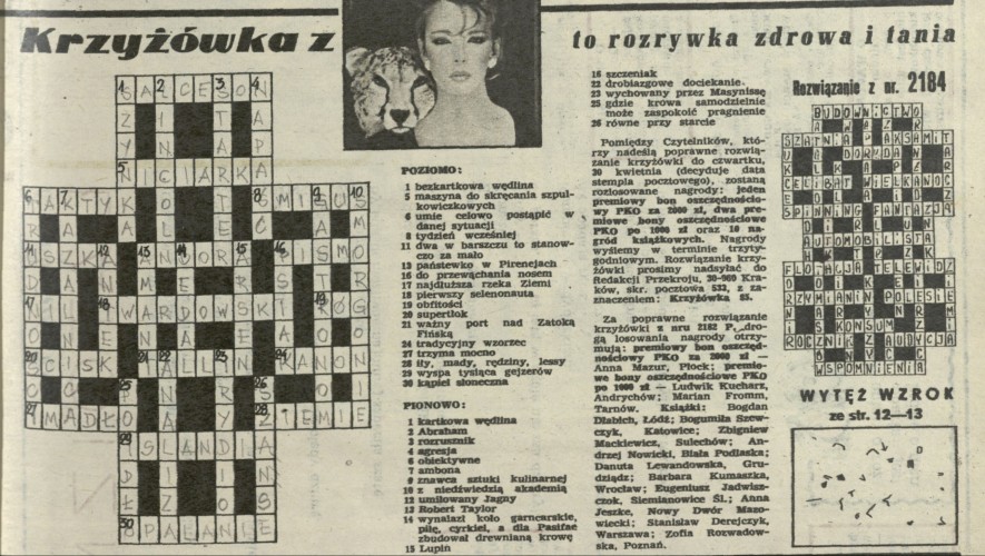 Krzyżówka z kociakiem