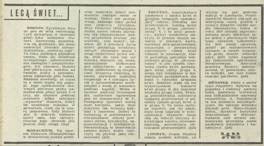 Lecą, lecą świetliki