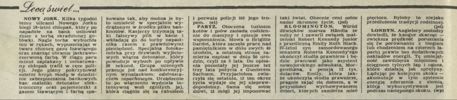 Lecą, lecą świetliki