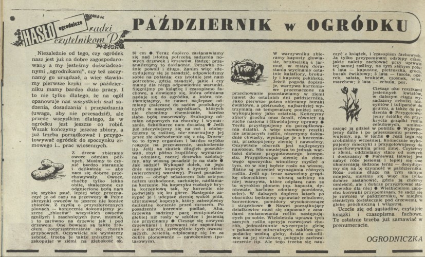 Październik w ogródku