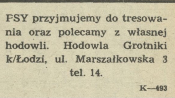 Tresura psów