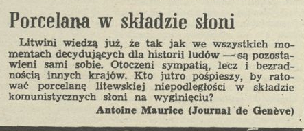 Porcelana w składzie słoni