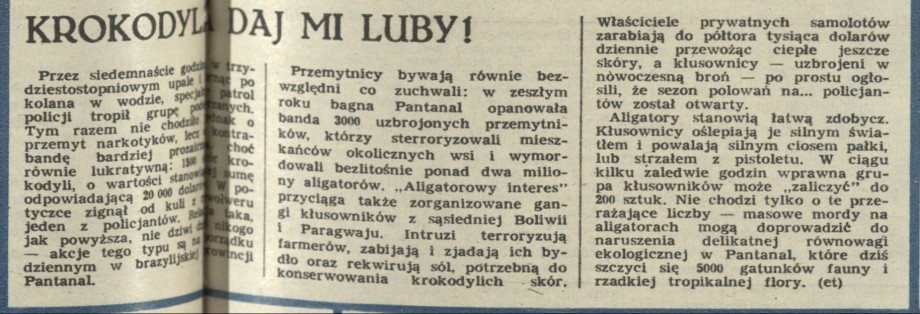 Krokodyla daj mi luby!