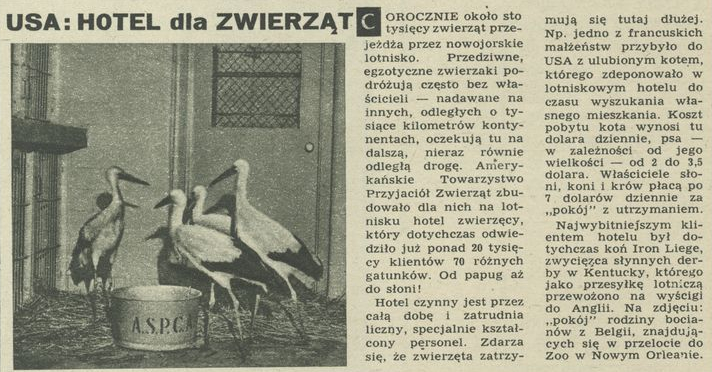 USA: Hotel dla zwierząt