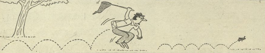 Skok za pasikonikiem