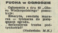Fucha w ogrodzie