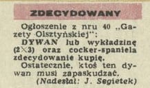 Zdecydowany