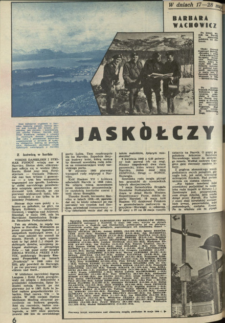 Jaskółczy Narvik