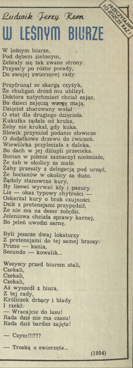 W lesnym biurze