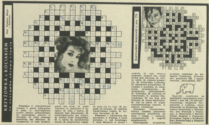 Krzyżówka z kociakiem