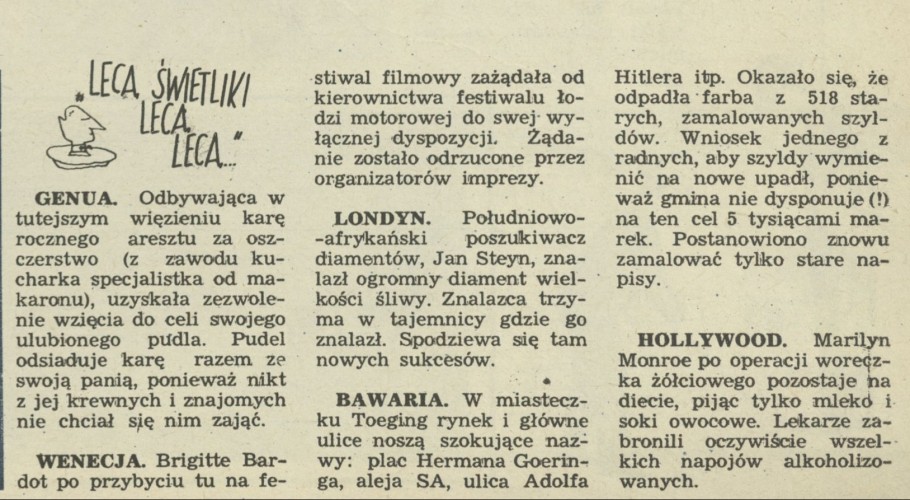 Lecą świetliki, lecą, lecą...