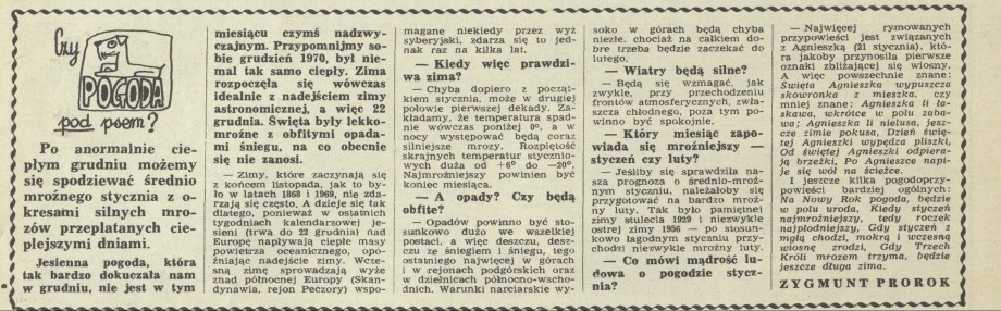 Czy pogoda pod psem?