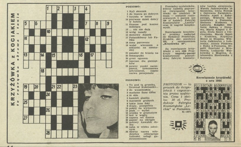 Krzyżówka z kociakiem