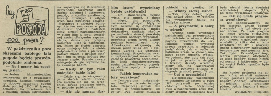 Czy pogoda pod psem?